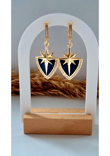 Vıp Paslanmaz Çelik Kuzey Yıldızı Rose Gold Küpe