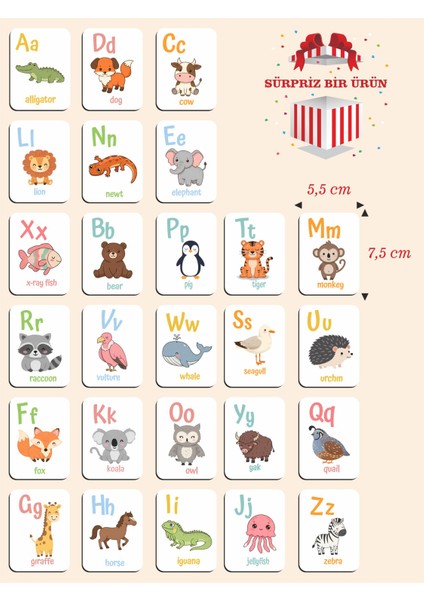 Ahşap Ingilizce Alfabe Kartları - Alfabe Ingilizce Eğitim Seti Ingilizce Öğrenme Kartları Montessori