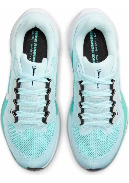 Air Zoom Pegasus 41 Kadın Sneaker Ayakkabı FD2723-401-ÇOK Renkli
