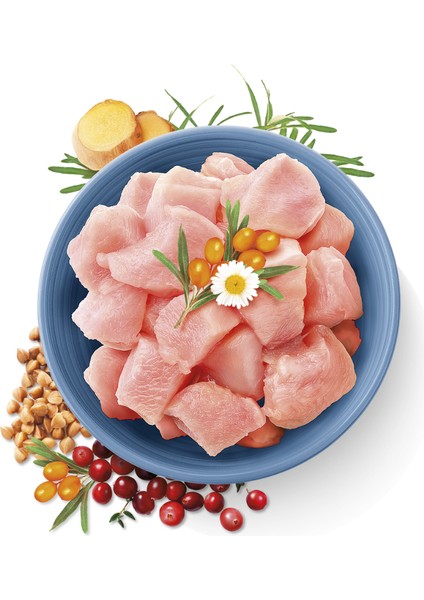 Kedi True Fresh Tahılsız Hindili Kuru Mama 1,8 kg (Kısırlaştırılmış) indirimleri