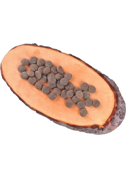 True Fresh Hindili Tahılsız Yavru Köpek Kuru Maması 1,4 kg
