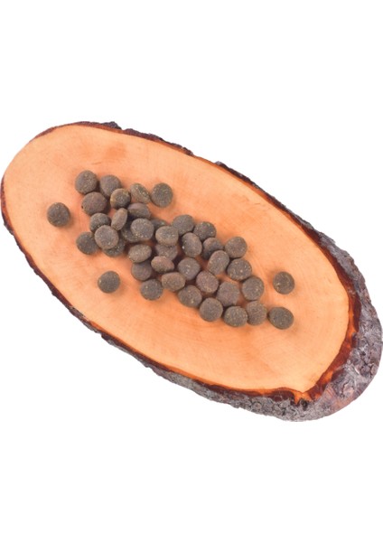 True Fresh Sığır Etli Tahılsız Yetişkin Köpek Kuru Maması 11,4 kg
