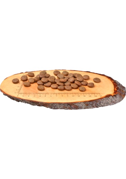Balıklı Tahılsız Yetişkin Köpek Kuru Maması (Parlak Tüyler & Sağlıklı Cilt ) 12 kg