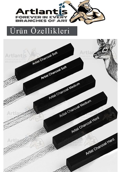 Sıkıştırılmış Kömür Füzen Seti 1 Paket Siyah Kare Press Kömür Füzen Yassı Çizim Gölgelendirme Grafit fırsatları