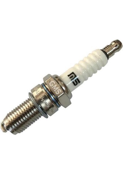 Cg D8TC Buji