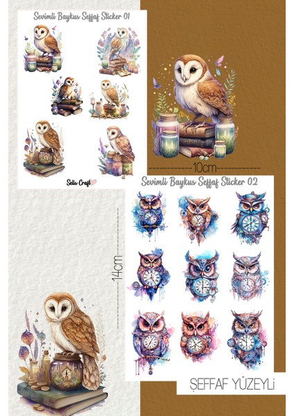 Sevimli Baykuş Temalı Şeffaf Sticker 01-02 Ajanda Planlayıcı Bullet Journal Için Uygundur