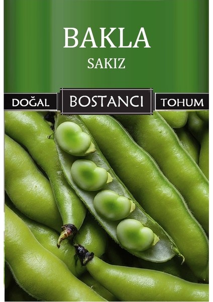 Yerli Sakız Bakla Tohumu Doğal Yerli Tohum Pakette 500 gr 300 Tohum