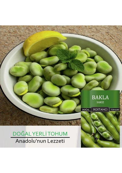 Yerli Sakız Bakla Tohumu Doğal Yerli Tohum Pakette 500 gr 300 Tohum fiyatları