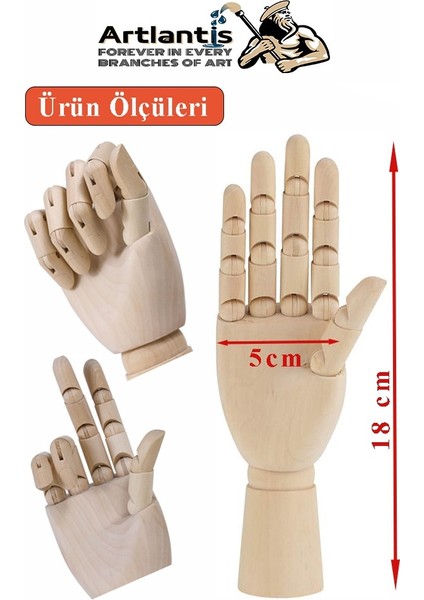 Ahşap Insan Modeli 14 cm ve El Modeli 18 cm 1 Paket Hareketli Insan ve El Manken Maketi Esnek Çizim Modeli