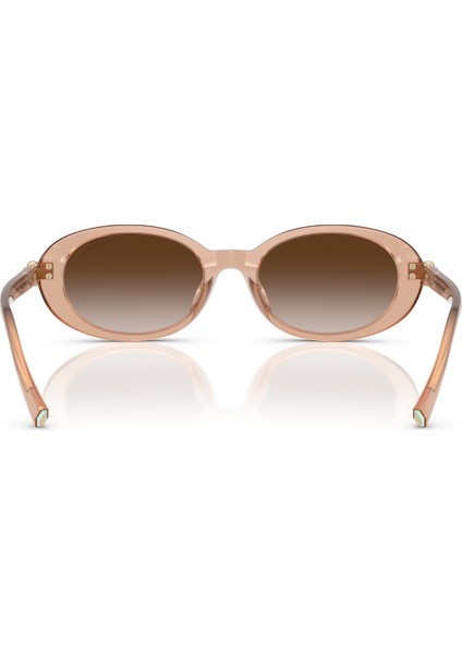 Tıffany & Co. 0TF4242D 82683B54 Kadın Gözlük indirimleri