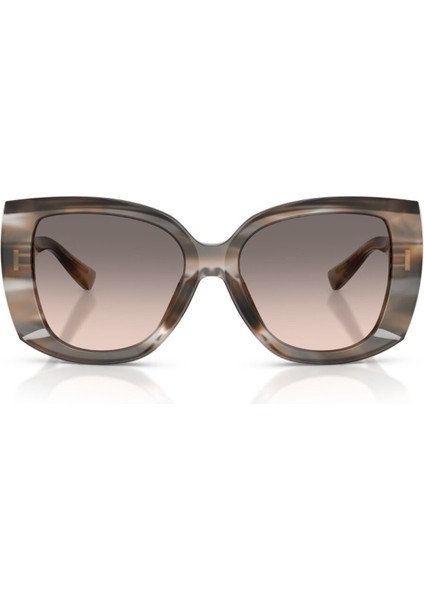 Dolce Gabbana 0DG4495 34493B56 Kadın Gözlük indirimleri