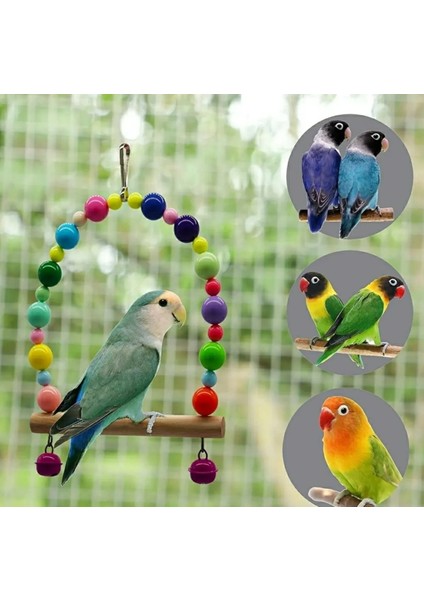 Trendme Renkli Özel Kuş Salıncağı