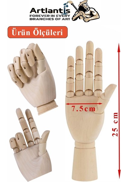 Ahşap Insan Modeli 20 cm ve El Modeli 25 cm 1 Paket Hareketli Insan ve El Manken Maketi Esnek Çizim Modeli