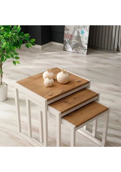 Doğal Ahşap Masif Panel Üçlü Zigon Sehpa