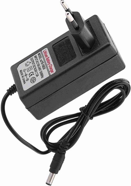 Dc 16.8V 2A Yedek Güç Adaptörü Lityum Iyon Pil Şarj Cihazı Güvenli Şarj (Yurt Dışından) fırsatları
