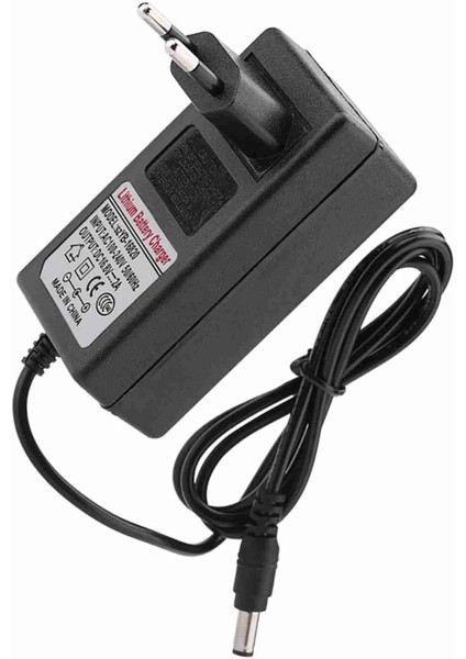 Dc 16.8V 2A Yedek Güç Adaptörü Lityum Iyon Pil Şarj Cihazı Güvenli Şarj (Yurt Dışından) indirimleri