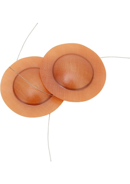 2 Adet Tweeter Ses Bobini 25MM / 0.98IN Dome Ses Bobini Tweeter Aksesuarı Hoparlör Onarımı Için (Yurt Dışından)