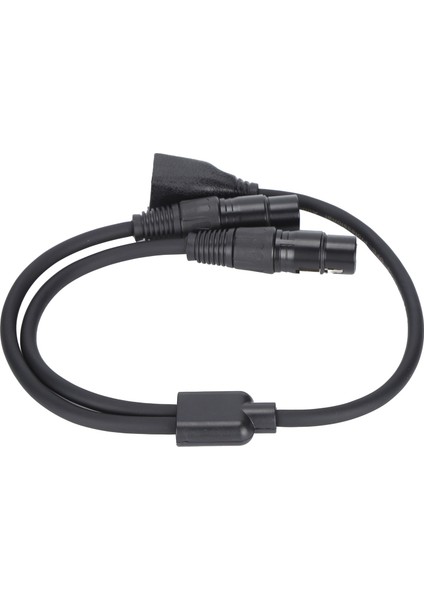 Jorındo JD6097 Adaptör Kablosu Çift Xlr Dişi - RJ45 Dişi Y Kablo Bağlantısı Mikrofon Adaptörü Dönüştürücü Kablosu (Yurt Dışından)