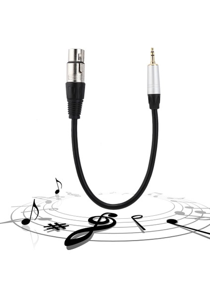 Stereo 3.5mm Erkek - Xlr Dişi Ses Kablosu Dönüştürücü 3.5mm Aparat 0.3m Uzunluk (Yurt Dışından) indirimleri
