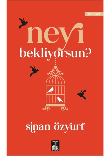 Neyi Bekliyorsun?