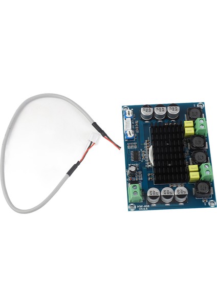 HW-408 TPA3116D2 Yüksek Güçlü Çift Kanallı Dıy Dijital Ses Güç Amplifikatörü Kartı (Yurt Dışından)