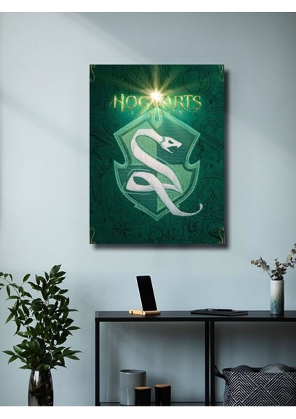Slytherin - Harryy Potter - Film & Dizi Posterleri, Özel Tasarım Kağıt Poster, Duvar Sanatı modelleri
