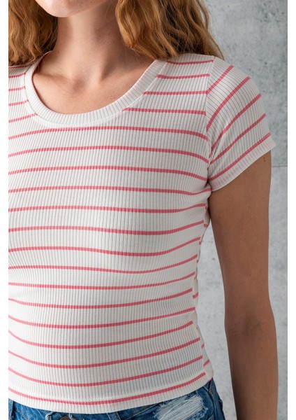 Kadın Bisiklet Yaka Kısa Kollu Çizgili Body Pembe – 25506