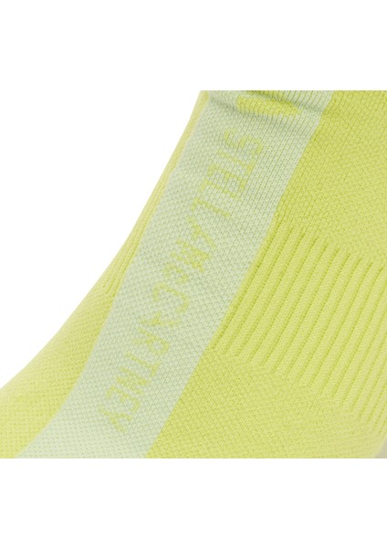 AJN4860 Adidas By Stella Mccartney &amp;ccedil;orap Sarı