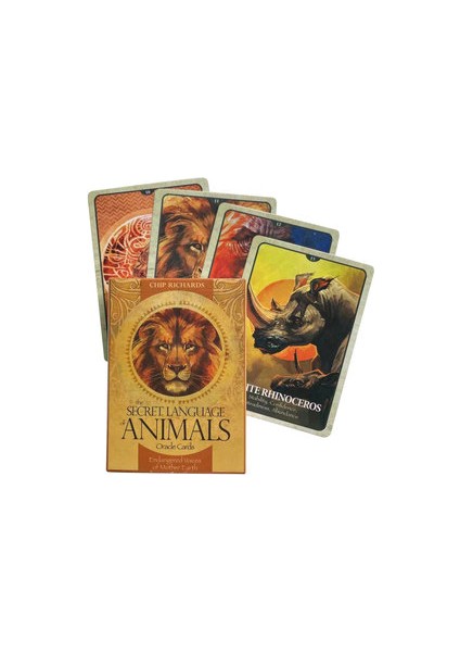 Çikolata Tarzı Rüya Yolu Tarot Destesi Yüksek Kehanet Falı Oracle Kartları Türkçe Pdf Rehber Aile Parti Masa Oyunları (Yurt Dışından)