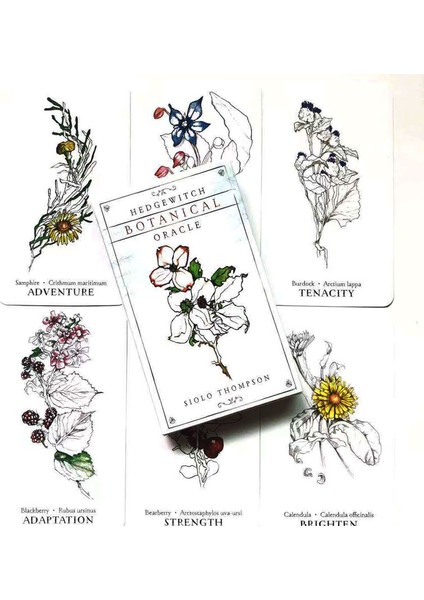 Derin Mavi Tarzı Yeni Tarot Cennet Yer Tarot Destesi Oracle Kartı Kader Falcılık Oyunu Tarot ve Çeşitli Tarot Seçenekleri (Yurt Dışından)