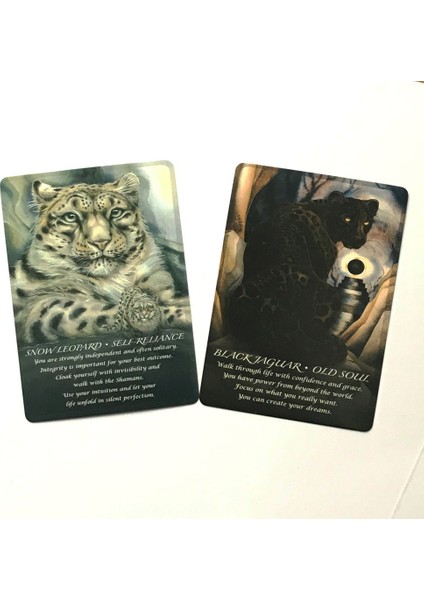 Tarot Çanta Stili Hayvanların Ruhu Oracle Kartları Kader Falı Oyunu Tarot ve Çeşitli Tarot Seçenekleri Için Kılavuz Pdf (Yurt Dışından) fırsatları