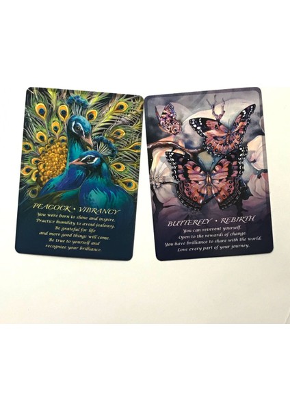 Tarot Çanta Stili Hayvanların Ruhu Oracle Kartları Kader Falı Oyunu Tarot ve Çeşitli Tarot Seçenekleri Için Kılavuz Pdf (Yurt Dışından) indirimleri