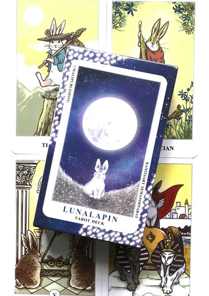 Turuncu Tarzı Falcılık Oyunu Kartları Tarot Kartları Aile Partisi Kart Oyunu Tarot ve Çeşitli Tarot Seçenekleri Pdf Kılavuz (Yurt Dışından)