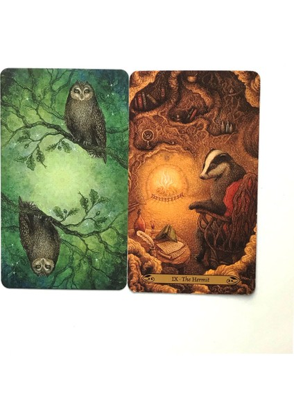 Büyü Tarot Stili Kader Falı, Kehanet ve Tarot Oyunu Için 78 Kart Orman Büyüsü Tarot Oracle Kartları ve Çeşitli Tarot Seçenekleri Pdf Rehberi (Yurt Dışından)
