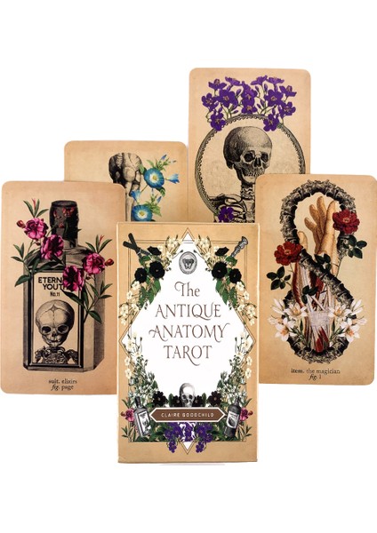 Kara Kediler Tarot Stili Antika Anatomi Tarot Kartları Sihir Malzemeleri Yüksek Kehanet Kehanet Fal Okuma Tarot Destesi 78 Kart - (Yurt Dışından) modelleri
