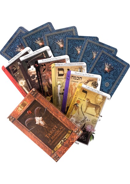 Yazışma Tarzı Kayıp Orman Tarot Kartları Cadılık Malzemeleri Sanatsal Yetişkinler Için Oyunlar Ruhsal Tarot Destesi 78 Kart Kader Falı - (Yurt Dışından)