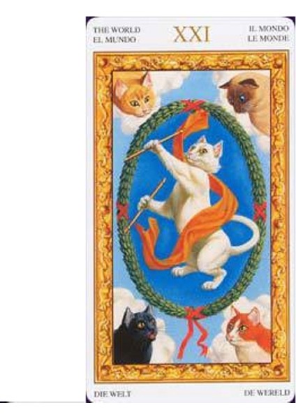 No.82 Tarzı Beyaz Kediler Tarotu Oracle Decameron ve The Muse Tarot Oracle Kart Oyunu Oyna Kartları Parti Oyunu Için Pdf ile E-Ticaret Başlığı (Yurt Dışından) indirimleri
