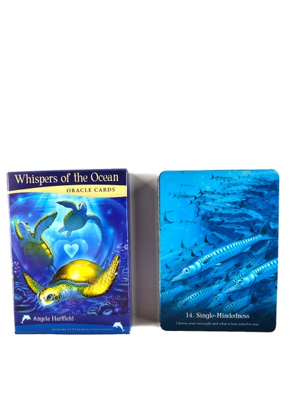 Gölgeler Kitabı Tarzı 2022 Deniz Rüzgarları Fısıldıyor Orakül Tarot Kartları Tam Ingilizce Rehberlik Kehanet Kader Tarot Destesi Oyunları Arkadaşlar Partisi Için E-Ticaret Başlığı (Yurt Dışından)