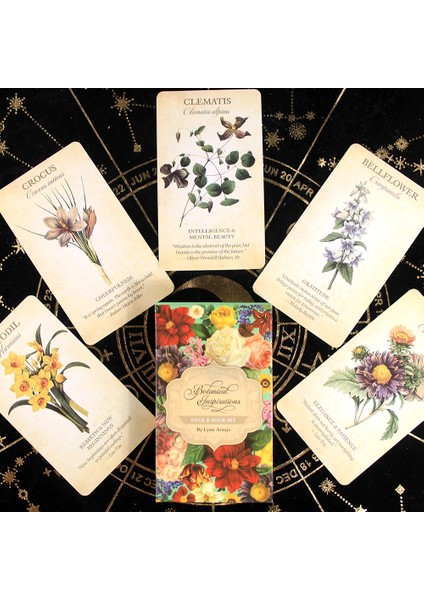 Siyah Stil Deniz Kızı Tarot Kart Destesi 78 Kart Oyunu Falcılık Kart Oyunu Rehber Kitap Başlangıç Seti Fal Kartları Tam Renkli Kart Oyunu (Yurt Dışından)