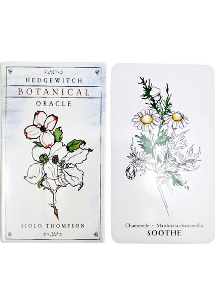 No.16 Tarzı Tarot Kartları Gerçek Kalpli Sezgisel Fal Tarot Kartı Taşıma Oyunu Kart Kılıfları Sihirli Oyun Kartları Tarot Tam Ingilizce Sürümü (Yurt Dışından)