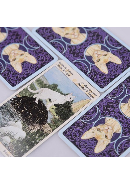NO.100 Tarzı Pagan Kedi Tarotu Ingilizce Versiyonu Orakül Kehanet Kader Oyunu Destesi Tarot Masası Oyun Kartı ile Pdf Kılavuz Kitapçık (Yurt Dışından) indirimleri