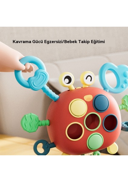 Bebek Eğitici Erken Eğitim Oyuncakları - Parmak Egzersizleri (Yurt Dışından) fırsatları