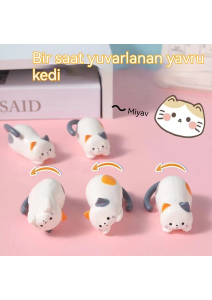 Yuvarlanan Yavru Kedi Dekompresyon (Yurt Dışından)