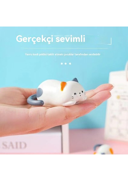 Yuvarlanan Yavru Kedi Dekompresyon (Yurt Dışından)