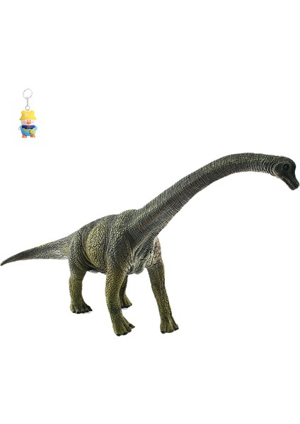 Simüle Edilmiş Jurassic Dinozor Modeli Otçul Dinozor Brachiosaurus Masaüstü Dekorasyonu Figür Süsleri (Yurt Dışından)