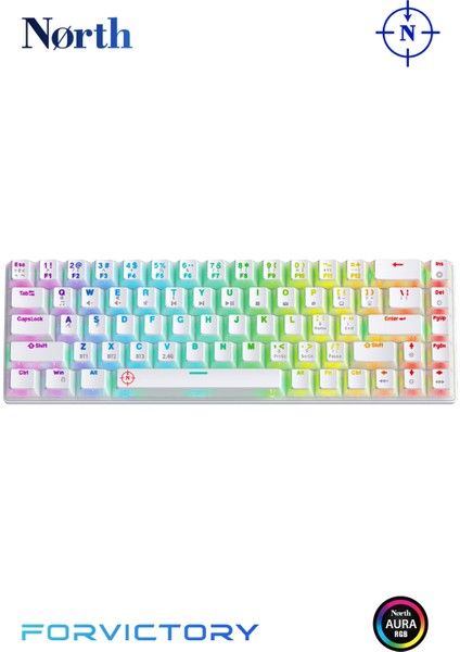 Odin Pro WL68 Lightcore Kablosuz Bluetooth Rgb Red Switch Türkçe Beyaz Mekanik Gaming Klavye