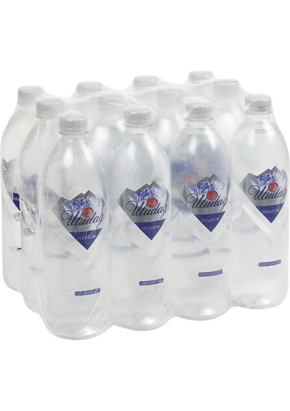 Su Premium Şişe 12X1 Lt