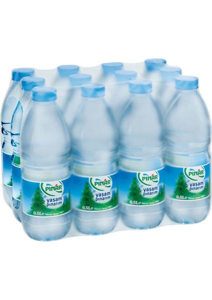 Su 500 ml 48'li Paket Su