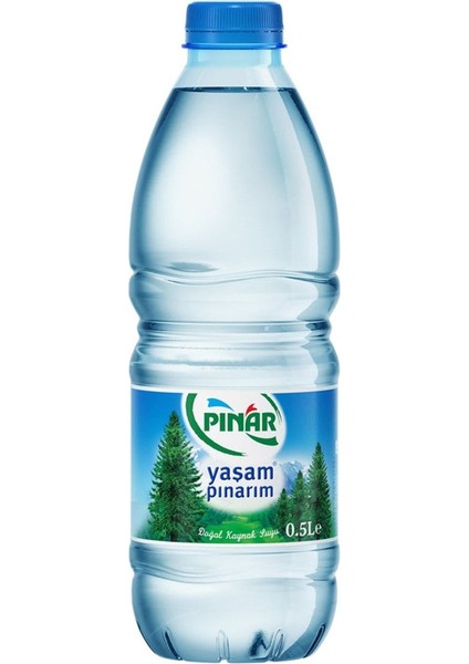 Su 500 ml 48'li Paket Su