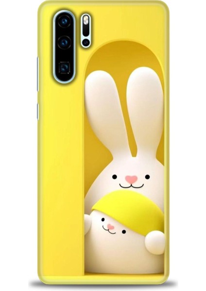 Huawei P30 Pro Kılıf Hd Baskılı Kılıf + Seramik Tam Kaplayan Ekran Koruyucu 72